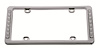 CHROME PLASTIC LICENSE FR - image 1
