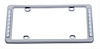 CHROME PLASTIC LICENSE FR - image 1