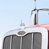 72054 Finger Hood Ornament-Chrome - image 1