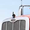 72055 Finger Hood Ornament-Matte Black - image 1