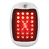 1940-53 CHEV TRUCK LED TA - image 1