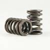 BBC 1.430/1.500 ERSON SPR - image 1