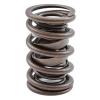 Dual Valve Spring With Damper 1.440"