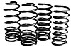 Sport Springs 2003-2004 Cobra - image 1