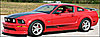 Sidewinder Side Stripes 1999-2004 Mustang - image 1