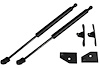 Focus Hood Strut Kit - image 1