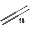 Powder Coated Hood Strut Kit 2015 Mustang - image 1