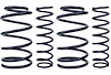 Sport Springs 2007-2014 Mustang GT500 Coupe - image 1