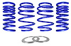 GT500 LOWERING SPRINGS - image 1