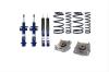PRO-ACTION SPRING/STRUT/S - image 1
