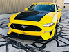 FRONT FASCIA - image 1