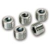 Pipe Plug Kit 1/4" NPT - image 1