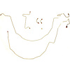 55 -57 Dual M.C. Pwr. Front Disc Conv. - Front Brake Line Kit 5 Pcs. - image 1