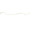CGL7136 SS - image 1