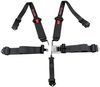 5-Point Seat Harness w/3 in. to 2 in. Pull Down Belts & Latch Lock System - image 3