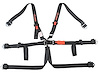 6-Point Seat Harness w/2 in. Pull Down Belts & Latch Lock System - image 1