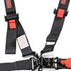 6-Point Seat Harness w/2 in. Pull Down Belts & Latch Lock System - image 2