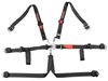 6-Point Seat Harness w/2 in. Pull Down Belts & Latch Lock System - image 3