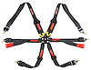 6-Point Seat Harness w/3 in. to 2 in. Pull Down Belts & Quick-Release Cam Lock System - image 1