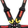 6-Point Seat Harness w/3 in. to 2 in. Pull Down Belts & Quick-Release Cam Lock System - image 2