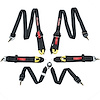 Race Seat Harness FIA - image 1