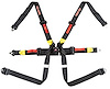 6-Point Seat Harness w/2 in. Pull Down Belts & Quick-Release Cam Lock System - image 1
