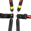 6-Point Seat Harness w/2 in. Pull Down Belts & Quick-Release Cam Lock System - image 3