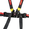 6-Point Seat Harness w/2 in. Pull Down Belts & Quick-Release Cam Lock System - image 4