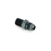 00-01156-F 1/4 in. NPT x 6AN Straight Filter Fitting- Male/Male, Black - image 2