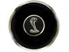 HORN BUTTON - image 1