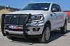 HD Grille Guards - image 1