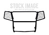 GRILL GUARD BLACK - image 1