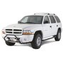Signature Series Nerf Bars 1998-2003 Dodge Durango - image 2