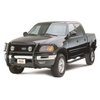 Signature Series Nerf Bars 1997-2003 Ford F-150 - image 2