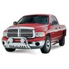Signature Series Nerf Bars 2002-08 Dodge Ram 1500 - image 2