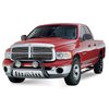 Signature Series Nerf Bars 2002-08 Dodge Ram 1500 - image 2