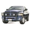 Signature Series Nerf Bars 2002-08 Dodge Ram 1500 - image 4