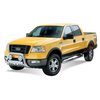 Signature Series Nerf Bars 2004-08 Ford F-150 - image 2