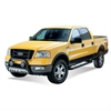 Signature Series Nerf Bars 2004-08 Ford F-150 - image 1