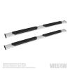 R5 NERF STEP BARS - image 1