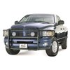 Sportsman Grille Guard 2002-05 Dodge Ram 1500 - image 3