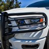 Sportsman X Grille Guard - image 4