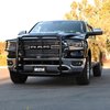 SPORTSMAN GRILLE GUARD - image 4
