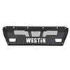 Pro-Mod Skid Plate - image 4