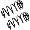 JCS1543T Coil Spring Set Fits Select GM Models, Variable-Rate, Position: Left/Driver or Right/Passenger - image 1