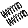 JCS1556T Coil Spring Set Fits Select Ford Models, Constant-Rate, Position: Left/Driver or Right/Passenger - image 1