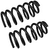 JCS1578T Coil Spring Set Fits Select Honda Models, Constant-Rate, Position: Left/Driver or Right/Passenger - image 1