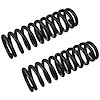 JCS1605T Coil Spring Set Fits Select Toyota Models, Constant-Rate, Position: Left/Driver or Right/Passenger - image 1