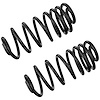 JCS1638T Coil Spring Set Fits Select Ford Models, Variable-Rate, Position: Left/Driver or Right/Passenger - image 1