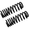 JCS1656T Coil Spring Set Fits Select Ford Models, Variable-Rate, Position: Left/Driver or Right/Passenger - image 1